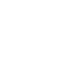 ZO-Brass WP